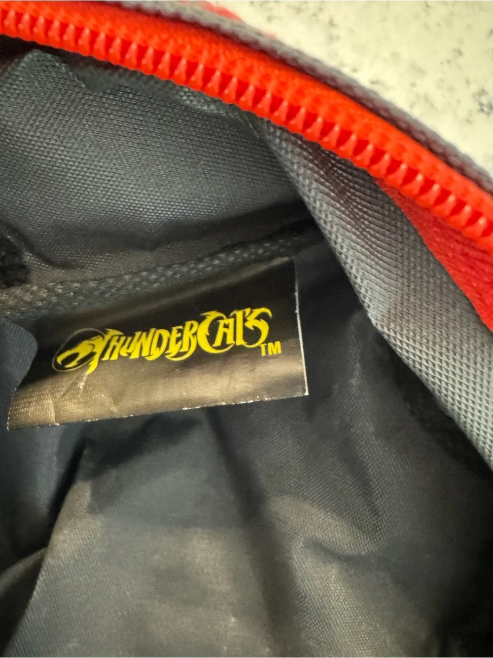 VINTAGE 2011 Thundercats Child’s Backpack